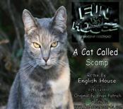 English House A Cat Called Scamp 